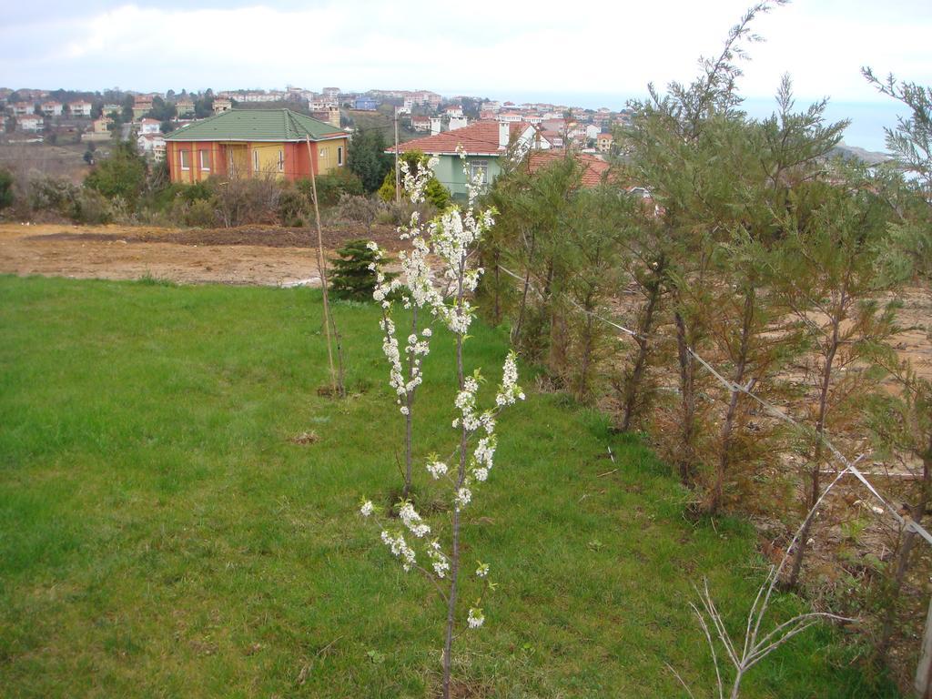 Titanik Pansiyon Ağva Esterno foto